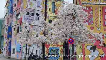 75 Jahre: Diese Institution prägt Braunschweigs Stadtbild