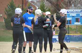 O’Connell softball win streak hits 61 after 7-0 win against Paul VI