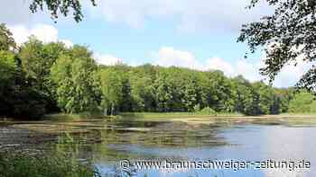 Traumjob im Harz: Wer will an dieser Attraktion den Sommer verbringen?