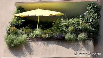 Natur pur: Wie der kleinste Balkon zur grünen Oase wird