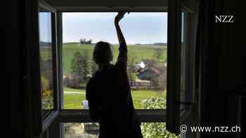 KOLUMNE - Marie Kondo hilft auch im Büro: Wie wir unseren inneren Hamster zähmen