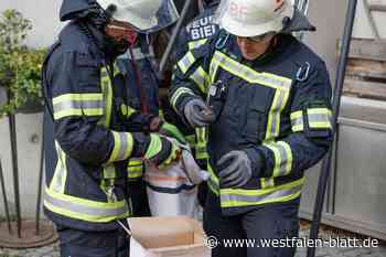 Bielefelder Feuerwehr rettet Fledermaus in der Altstadt