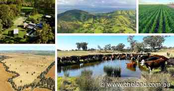 This week's NSW rural property listings and sales that made the top headlines