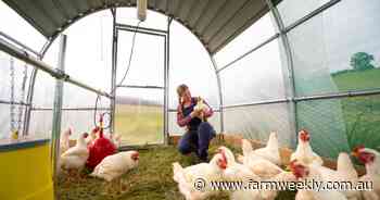 A taste for local Galloway Springs garlic is growing across the South West