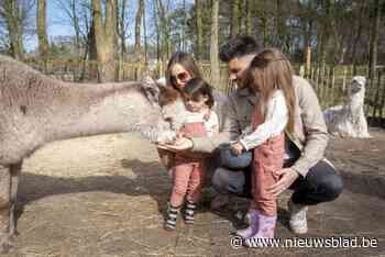 DIT GEVEN ZIJ UIT. “Plannen is niet onze sterkste kant, dus moeten we bijna elke dag naar de supermarkt”