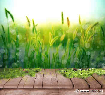 Bestemmingsplannen Vredenburghzone goedgekeurd