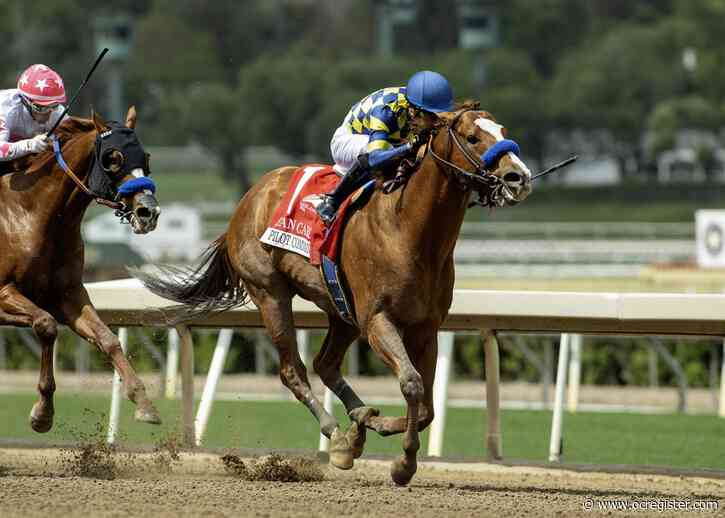 Santa Anita Derby draws 8 nominees