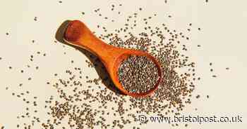 Fibre-rich seed that could boost your gut and reduce blood pressure that can be added to water