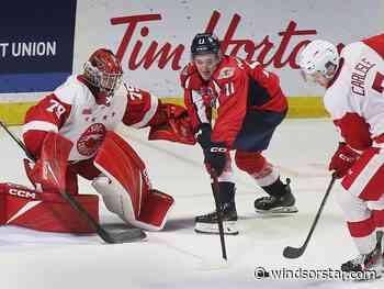 Spitfires' big unit continues to deliver against Greyhounds