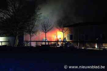 Stallen gaan in vlammen op maar vijf paarden worden gered