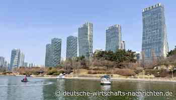 Grüne Zukunft oder nicht? Was von globalen Visionen wirklich bleibt