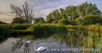 People can now dial-a-bus to visit the National Trust's Wicken Fen