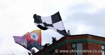 On roofs, phone boxes and up trees as Newcastle fans secure best spots for bus parade