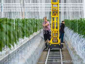 Lufa Farms now delivering Montreal-grown produce, local goods in Ottawa