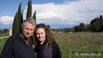 In France's southern wine region, Trump's tariff threats are already killing business