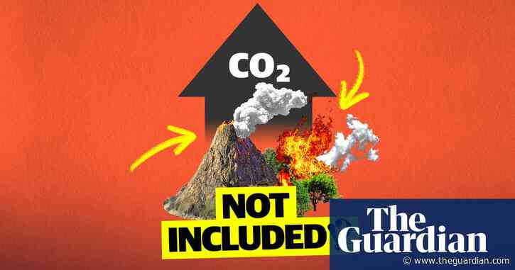 How countries cheat their carbon targets – video