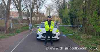 Murder investigation launched as man in his 20s dies after hit-and-run in Harlow