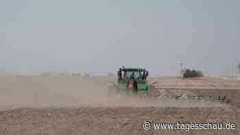 Die Sorgen der Farmer von Kansas