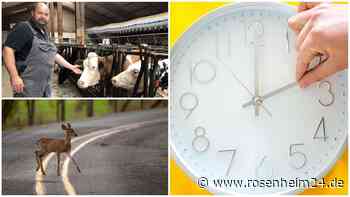 Zeitumstellung: Warum sie Leute nervt und Tiere verwirrt – Experten aus der Region klären auf