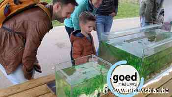 Gezinnen ontdekken welke dieren én welk afval in het water zit tijdens Demerdag