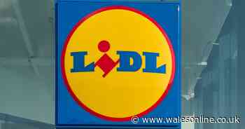 Lidl urges customers to return item that could cause fever and abdominal cramps