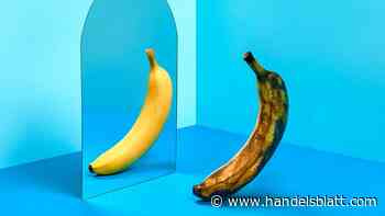 Mega-Trend Longevity: Auf dem Weg zur Unsterblichkeit? Was jetzt schon möglich ist