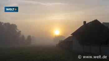 Eigentümer, Sparer, Aktionäre – Die wahre Dimension der neuen Kapitalertragssteuer-Pläne