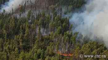 Clearwater, B.C., launches its own wildland firefighting team amid ongoing drought