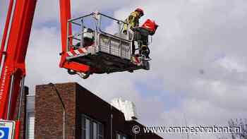 112-nieuws: hondje aangereden door trein • brandweer voorkomt stormschade