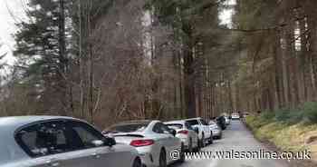 Locals fume over Welsh beauty spot being 'destroyed every day'