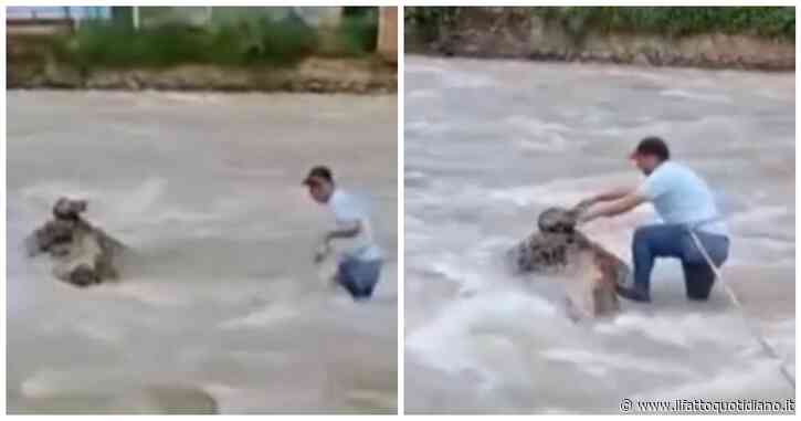 Si tuffa nel fiume in piena e salva la vita a un gattino intrappolato su una roccia, l’impresa è virale: “Ecco le persone di cui il mondo ha bisogno”