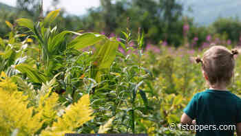 Five Photoshop Tools Every Editor Should Use