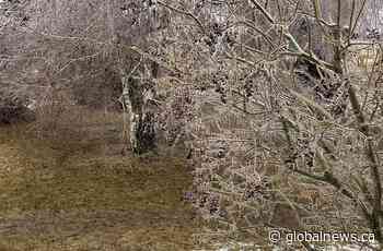 Hundreds of thousands still without power as ice storm moves east