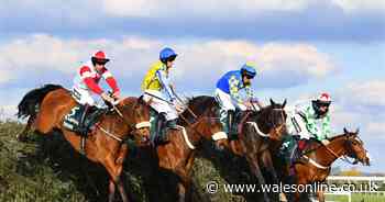 Grand National 2025 new list of 34 runners announced as raft of horses pulled