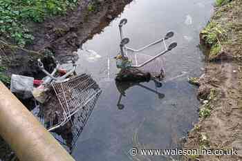 Hundreds of trolleys keep getting dumped in city estate and locals have had enough
