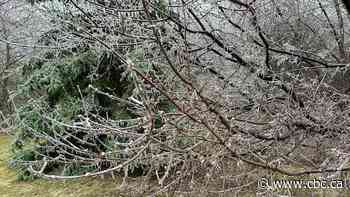 Over 330,000 without power in Ontario as ice storm moves through province