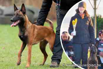 “Crimineel en harteloos”: kampioenenhond Winnie sterft na vergiftiging, baasje Gwendoline (34) zwaar aangeslagen