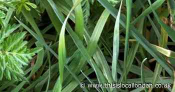 Wild Things: A long wait to discover future of  nature reserve