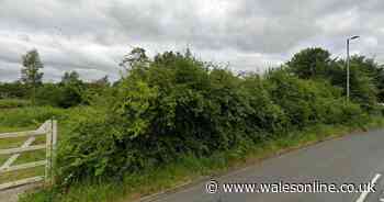 Warning to close doors and windows in Blackwood as fire breaks out - live updates