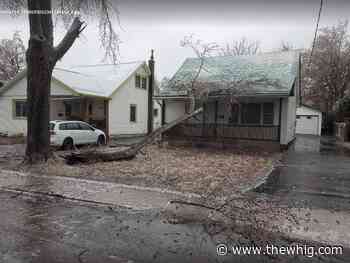 Day two of ice storm brings hydro outages and more fallen tree debris