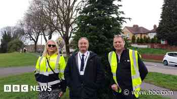Council embarks on spring Christmas tree planting