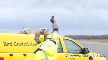 Pistoolschoten moeten ganzen en eenden verjagen op militair schietveld