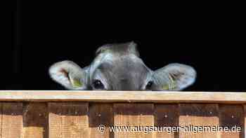 Opposition sieht Systemversagen beim Tierschutz in Bayern