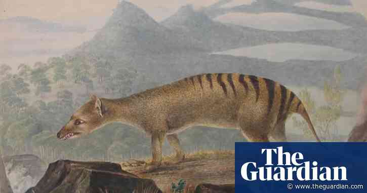 Can we recreate a lost world? In Tasmania, anything could happen