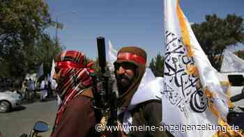 US-Strategiewechsel? Klammheimlich nimmt Trump Kontakt zu den Taliban auf