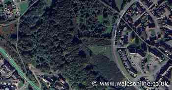 Warning to close doors and windows in Blackwood as fire breaks out