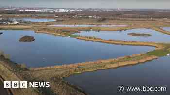 New nature reserve becomes wildlife haven