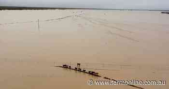 What's missing from election policies and why Pete's watching the weather