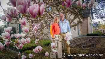 Mijn magnolia en ik: “Geef de bloemen een tweede leven op je bord”