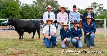 Wrigley Cattle Co elated with triple top price at 'strongest sale ever'